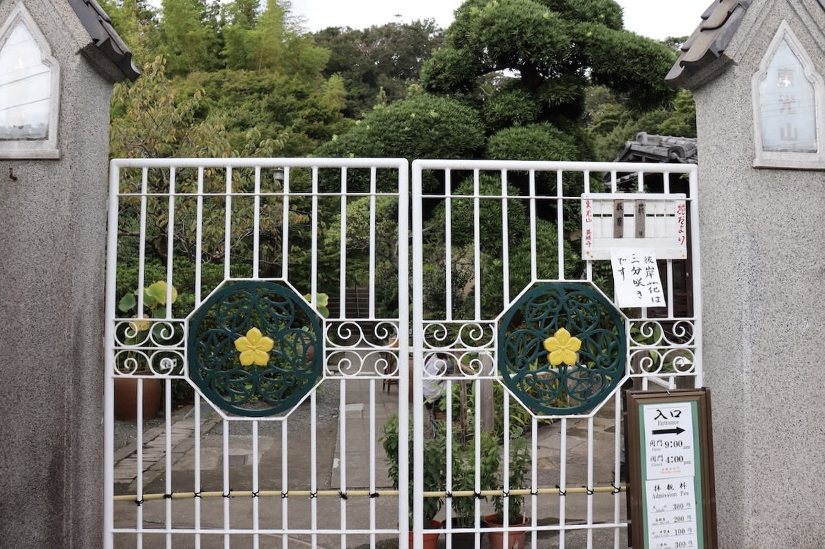 f:id:takeuma02:20210121140228j:plain