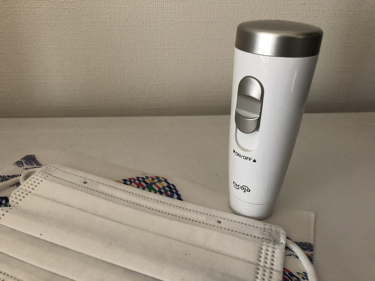 f:id:takeuma02:20210121142820j:plain