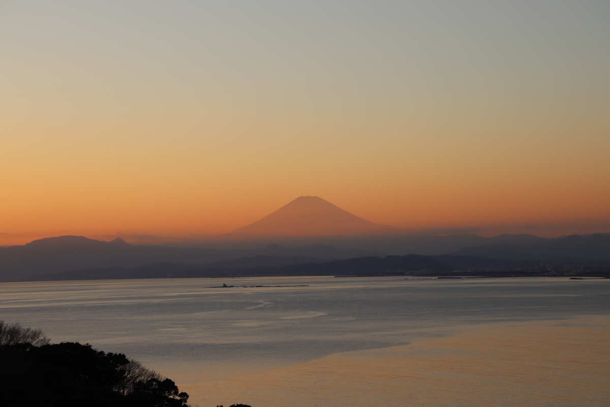 f:id:takeuma02:20210125091213j:plain