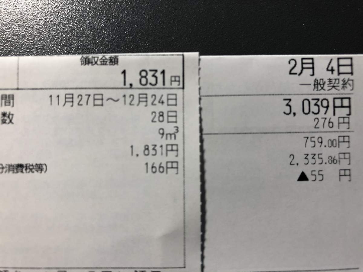 f:id:takeuma02:20210128102143j:plain