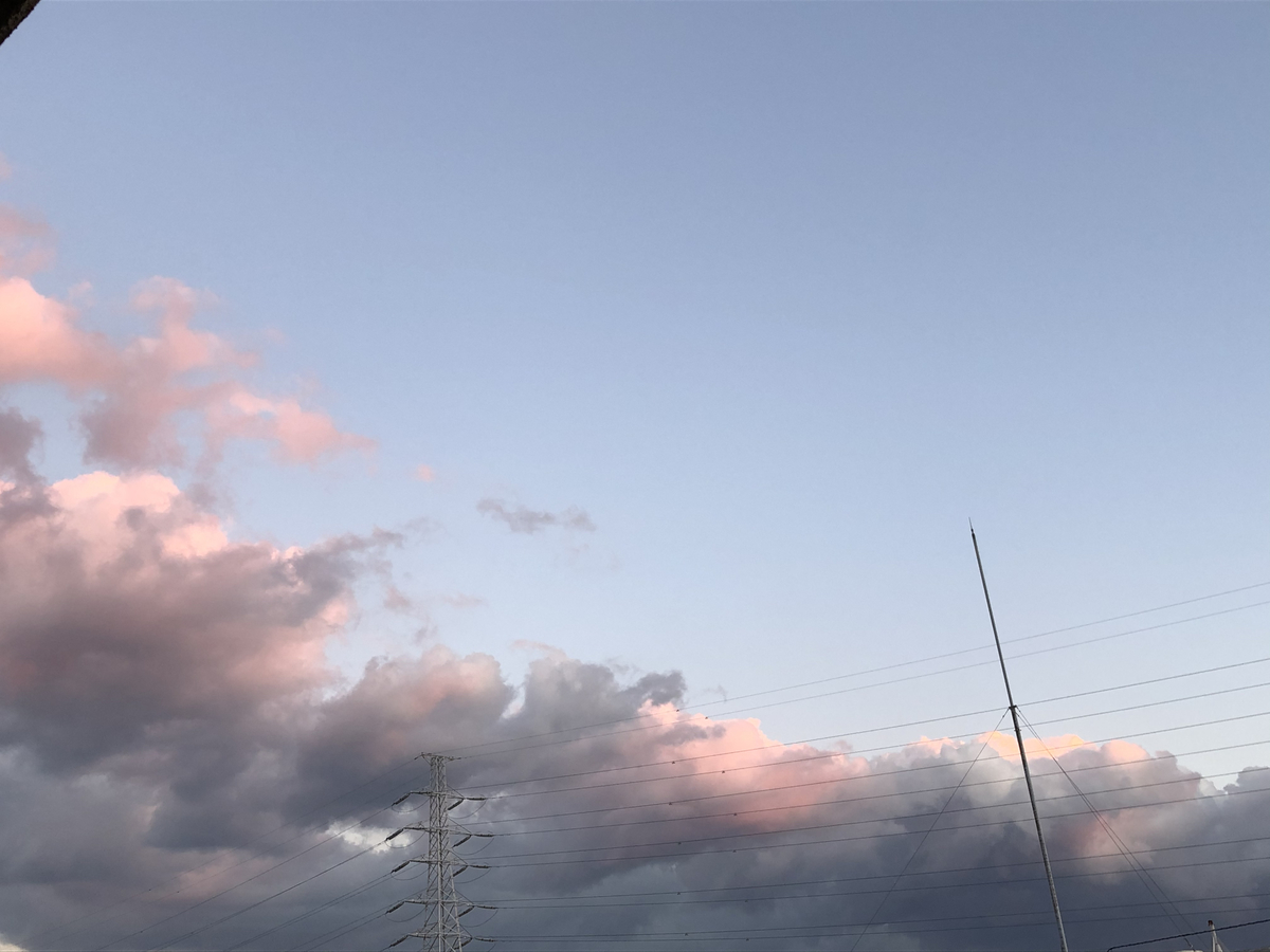 f:id:takeuma02:20210201062800j:plain