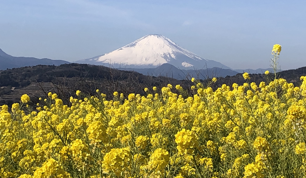 f:id:takeuma02:20210214083705j:plain