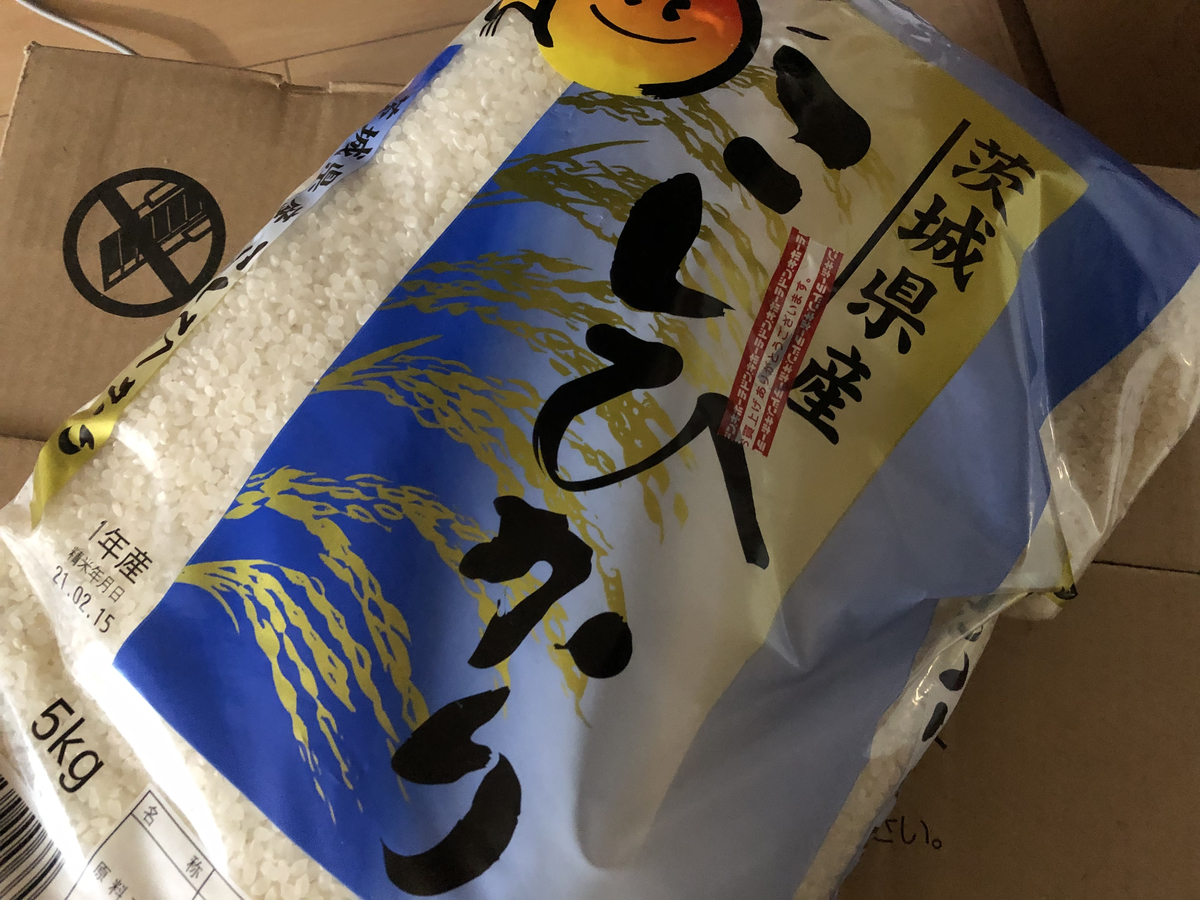 f:id:takeuma02:20210219174624j:plain