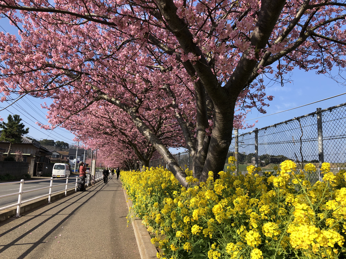f:id:takeuma02:20210222145104j:plain