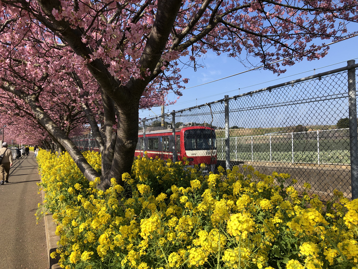 f:id:takeuma02:20210228132934j:plain