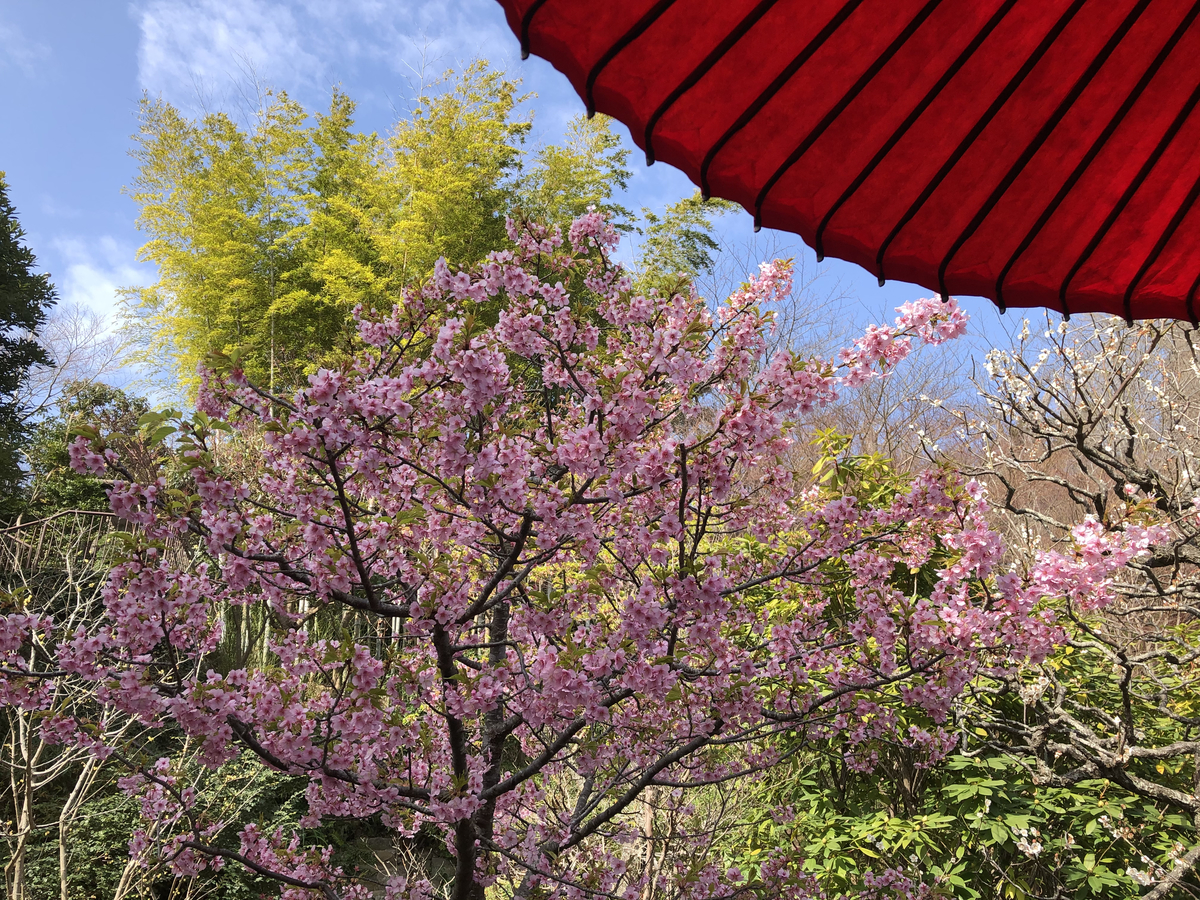 f:id:takeuma02:20210301143846j:plain