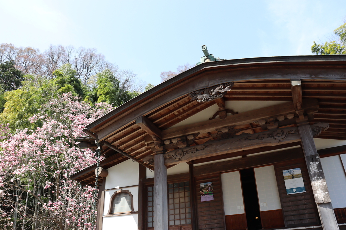f:id:takeuma02:20210318075912j:plain