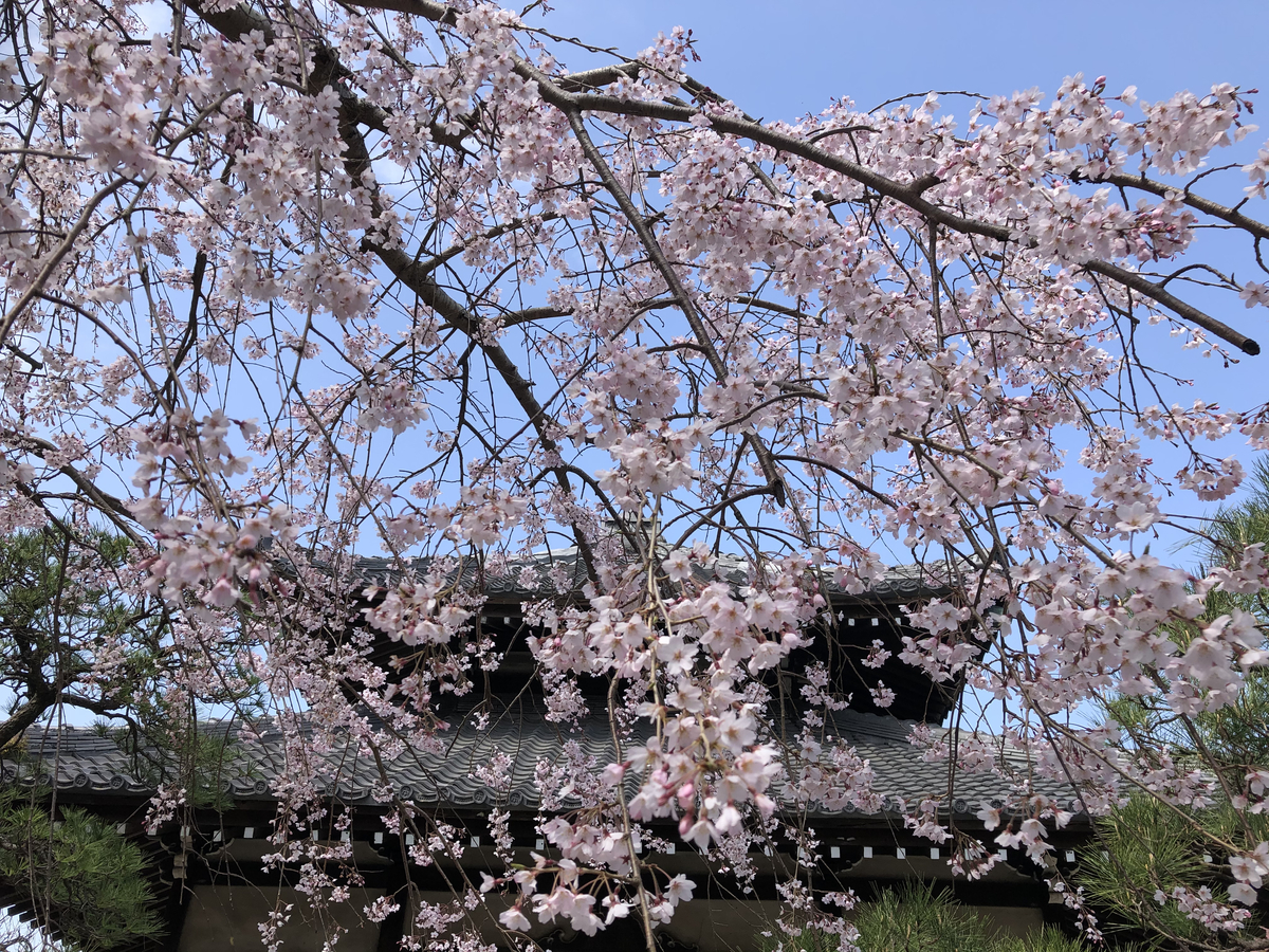 f:id:takeuma02:20210318172425j:plain