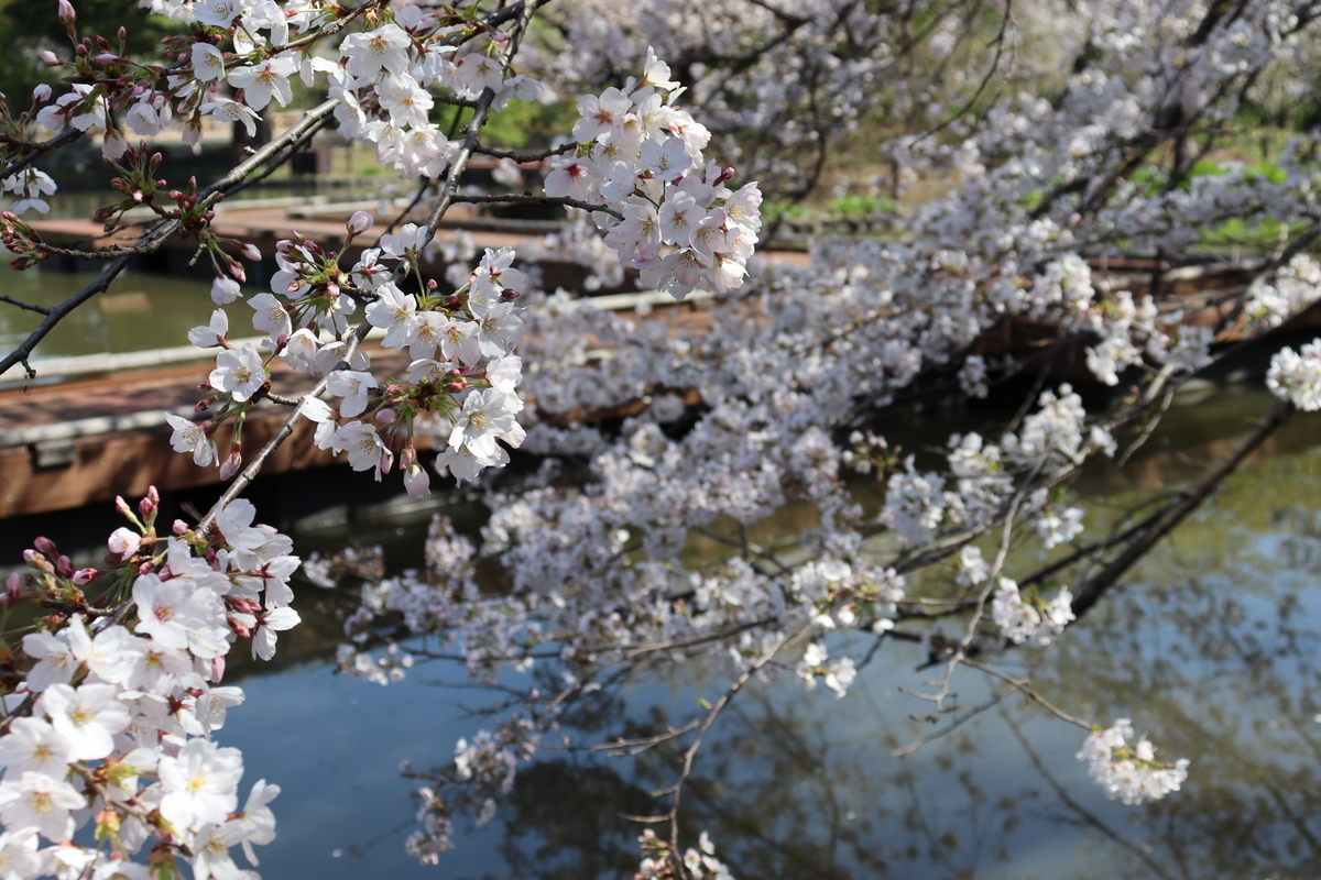 f:id:takeuma02:20210325081347j:plain