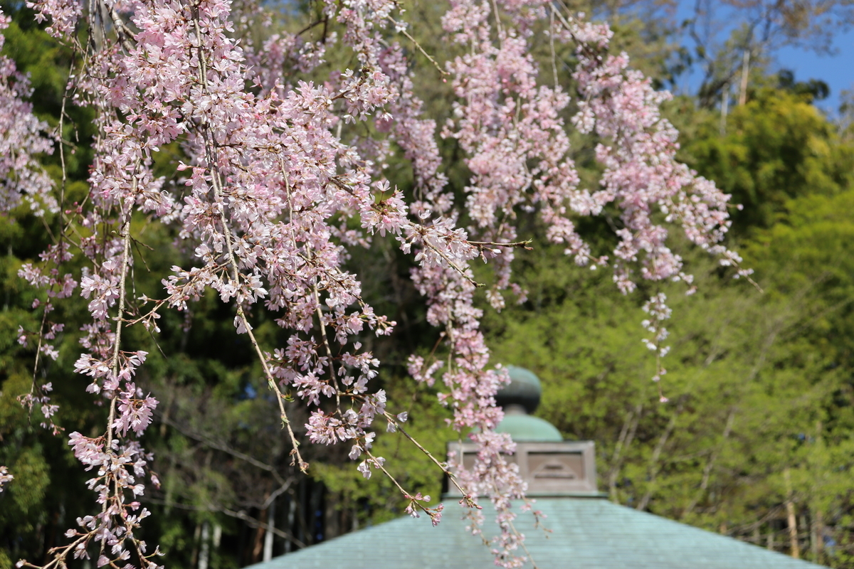 f:id:takeuma02:20210325081946j:plain