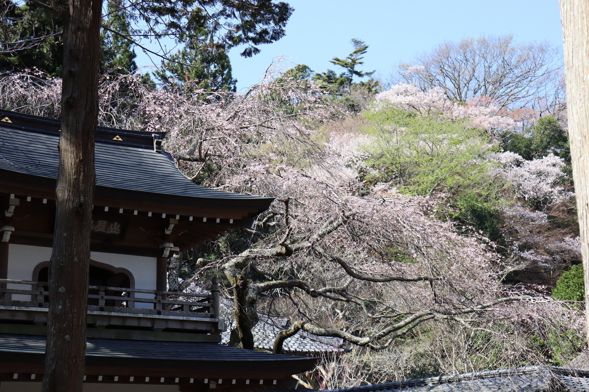 f:id:takeuma02:20210325082536j:plain