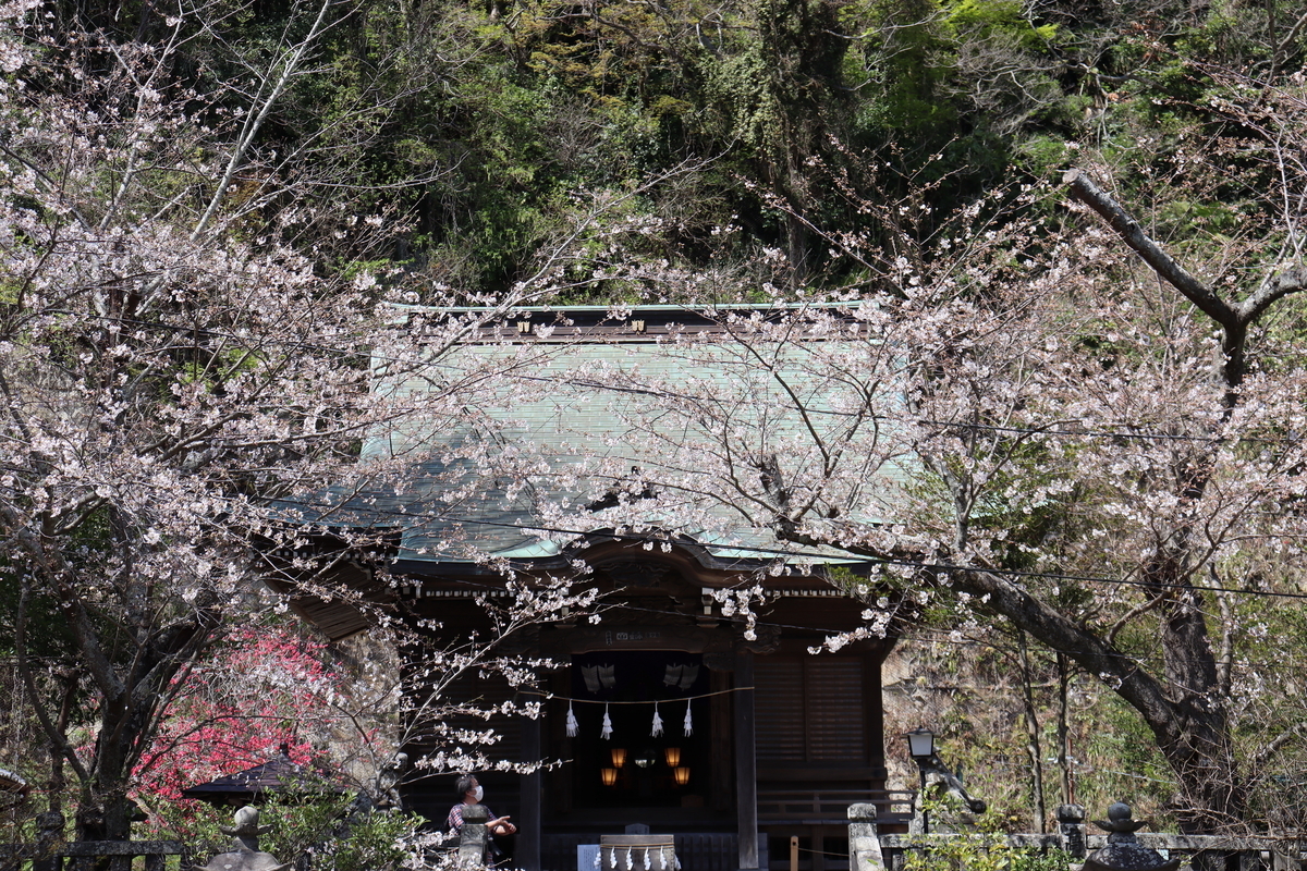 f:id:takeuma02:20210325090329j:plain