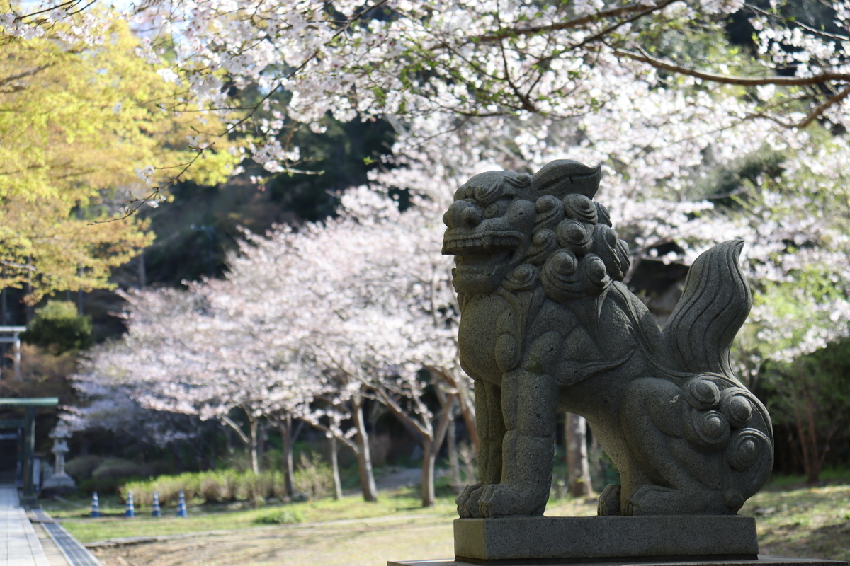 f:id:takeuma02:20210326151039j:plain