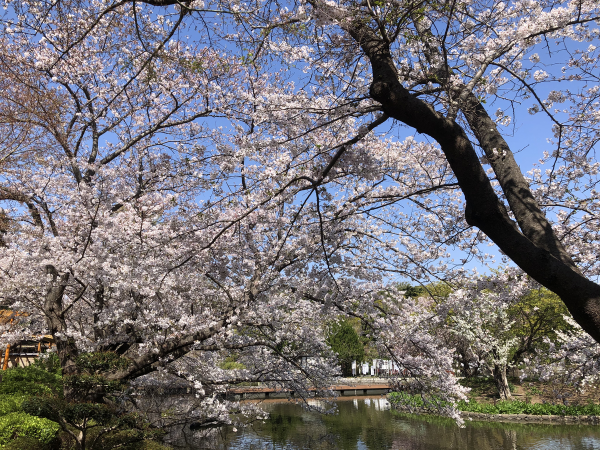 f:id:takeuma02:20210326151717j:plain