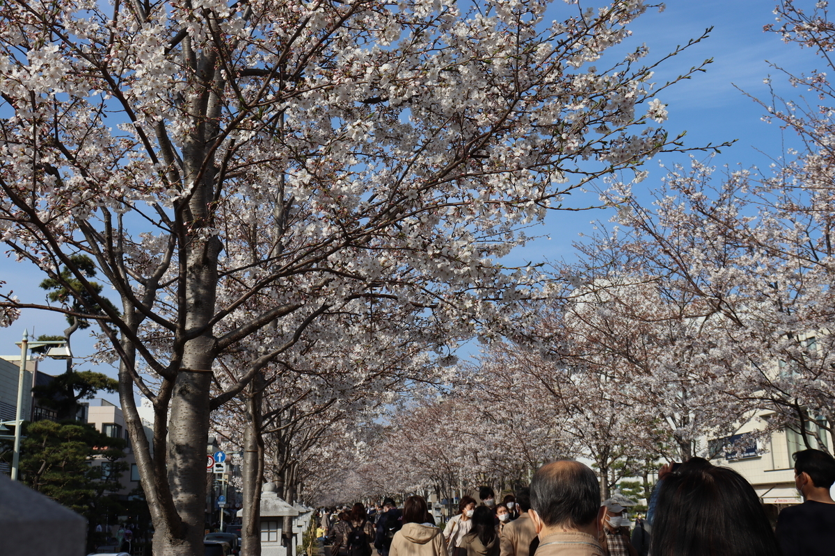 f:id:takeuma02:20210328121543j:plain