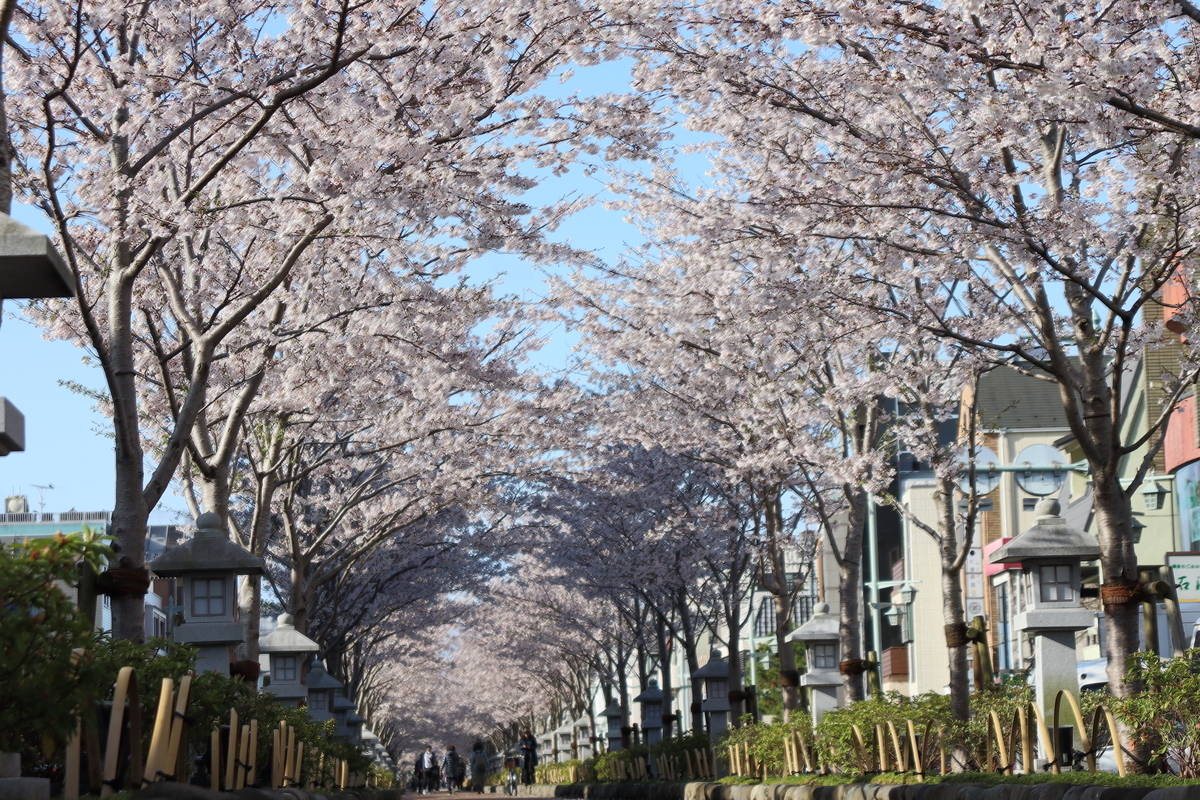 f:id:takeuma02:20210329140830j:plain