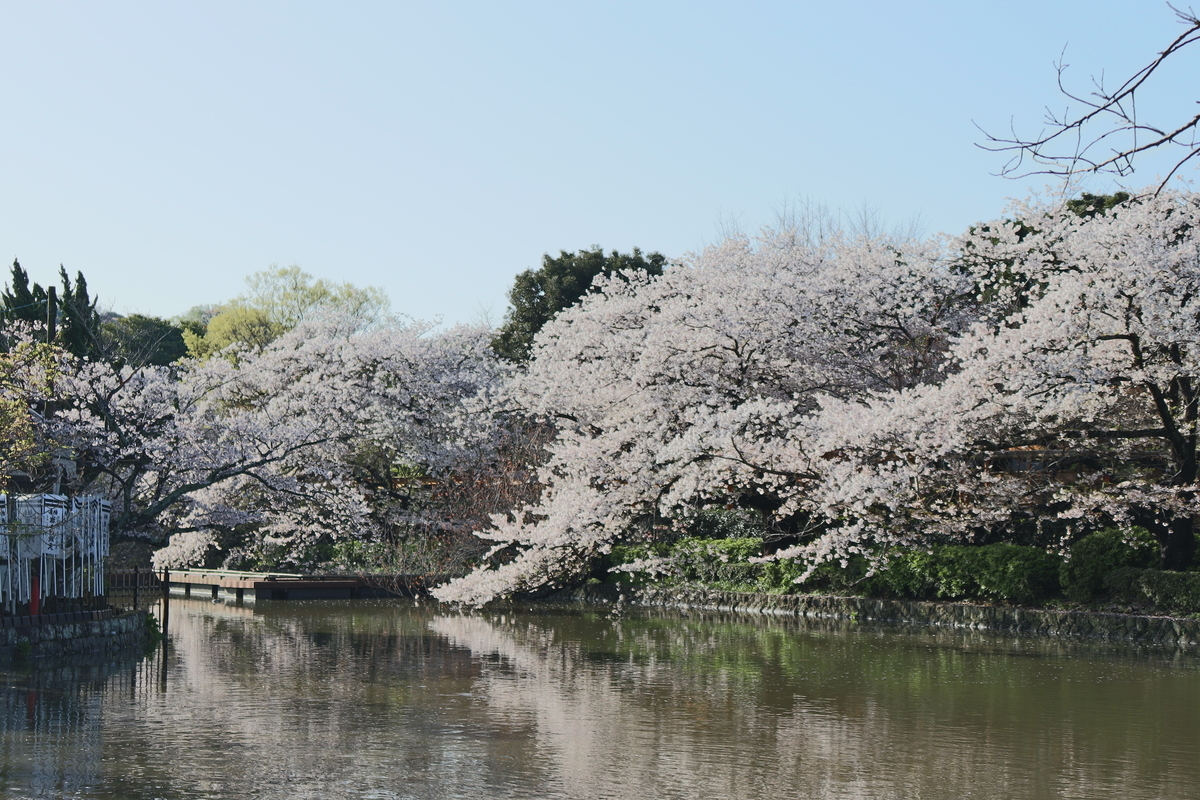f:id:takeuma02:20210329141344j:plain