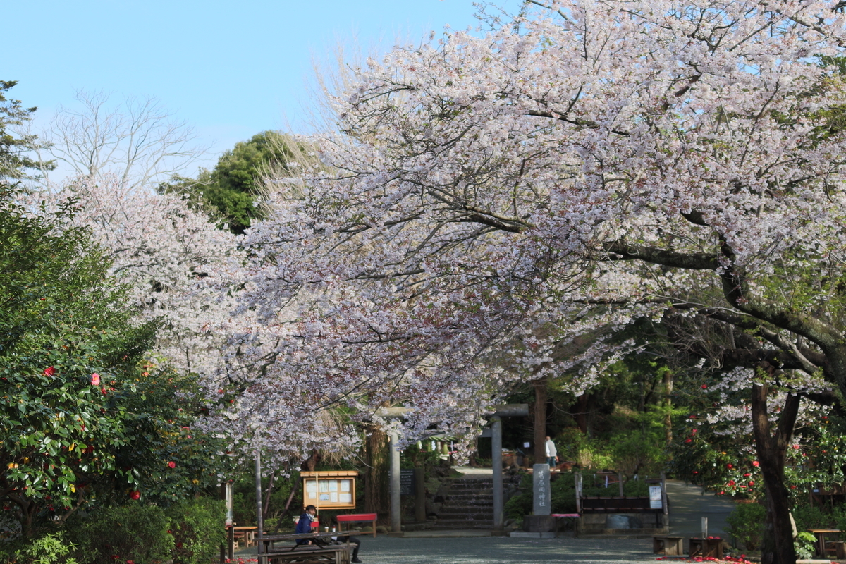 f:id:takeuma02:20210329142155j:plain