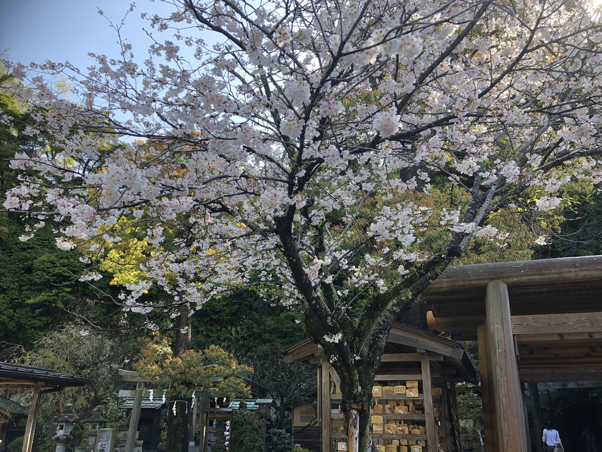 f:id:takeuma02:20210329142452j:plain
