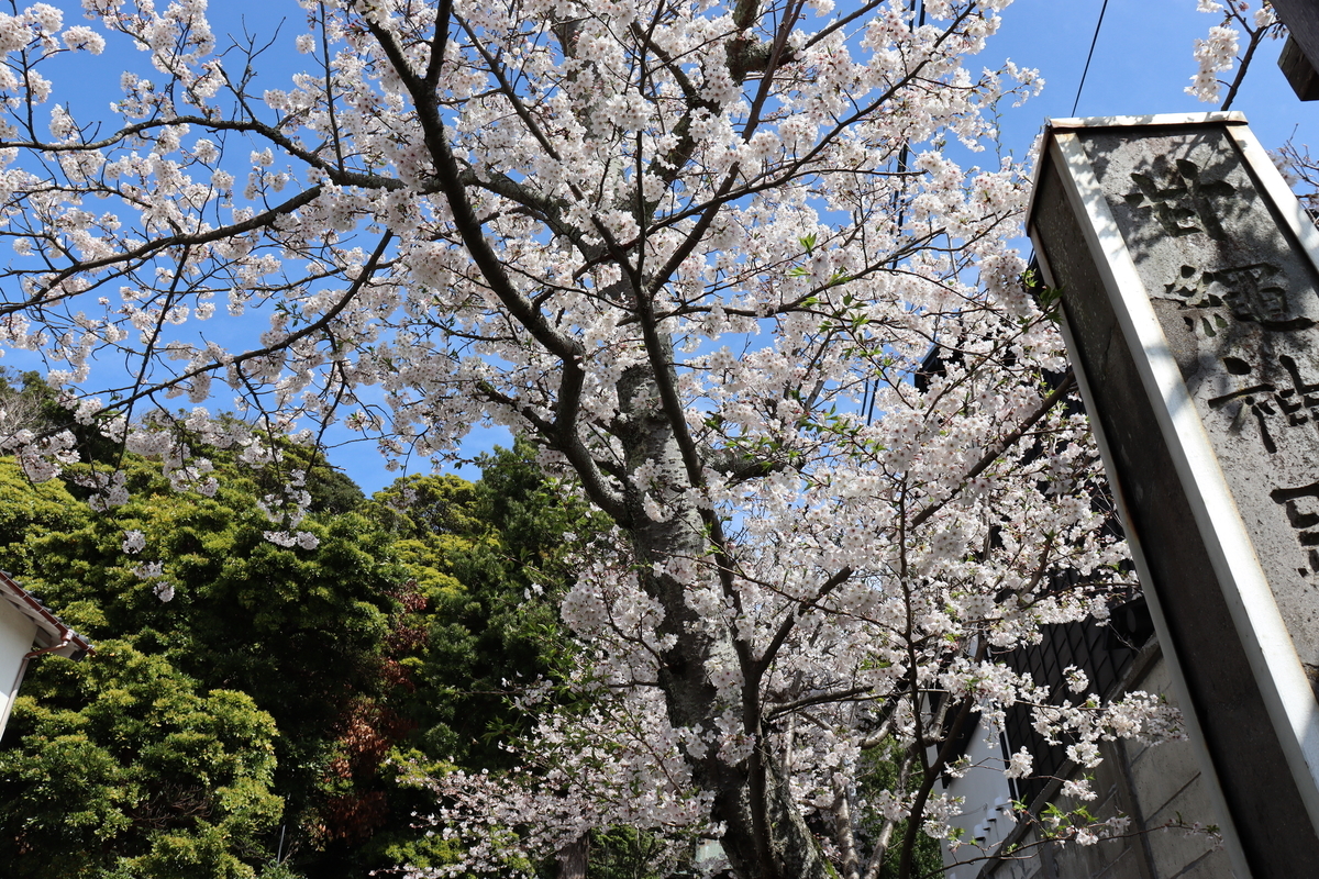 f:id:takeuma02:20210329142842j:plain