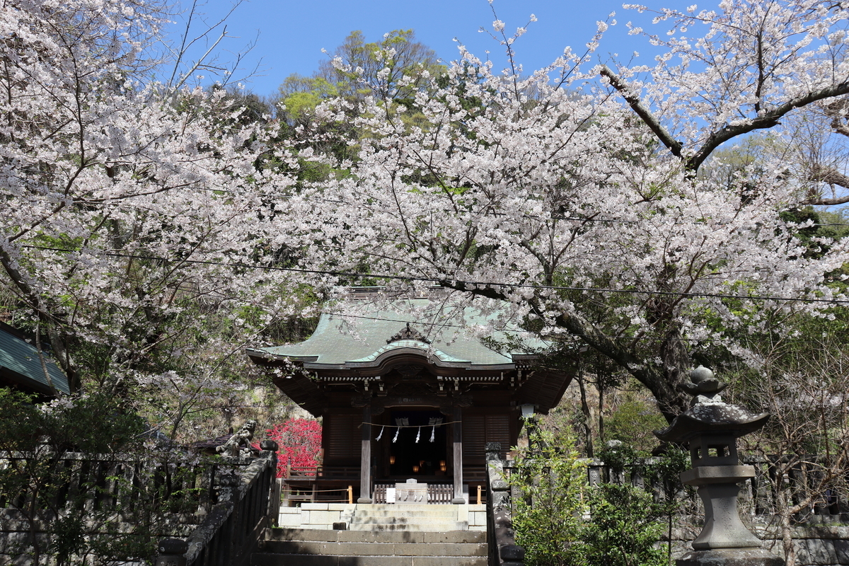 f:id:takeuma02:20210329143150j:plain