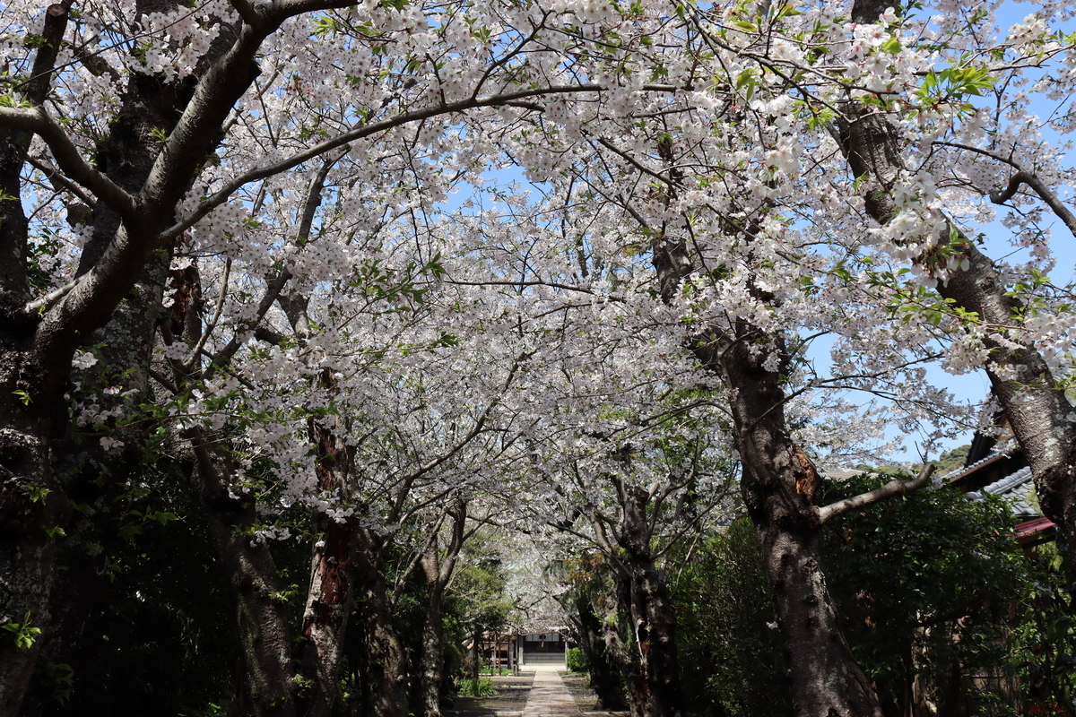 f:id:takeuma02:20210329143825j:plain
