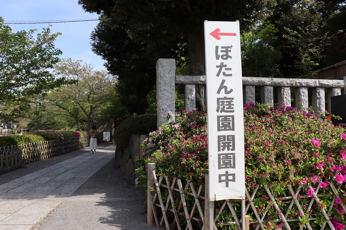 f:id:takeuma02:20210409081922j:plain
