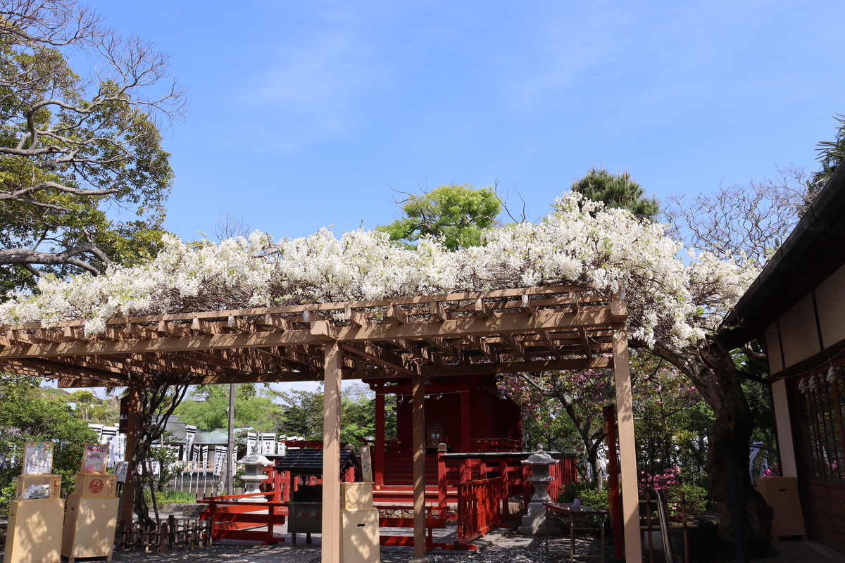 f:id:takeuma02:20210409143529j:plain