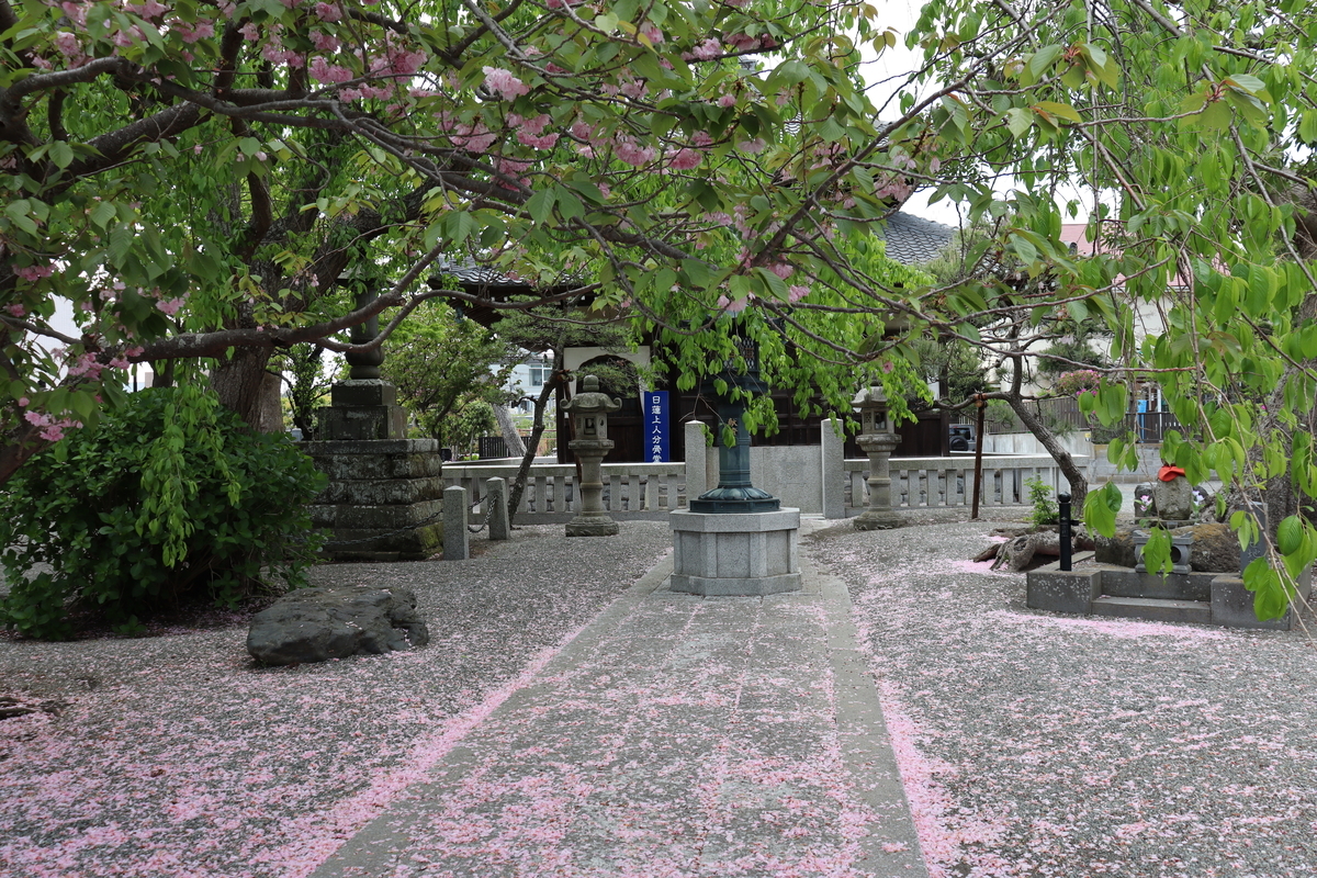 f:id:takeuma02:20210416132258j:plain