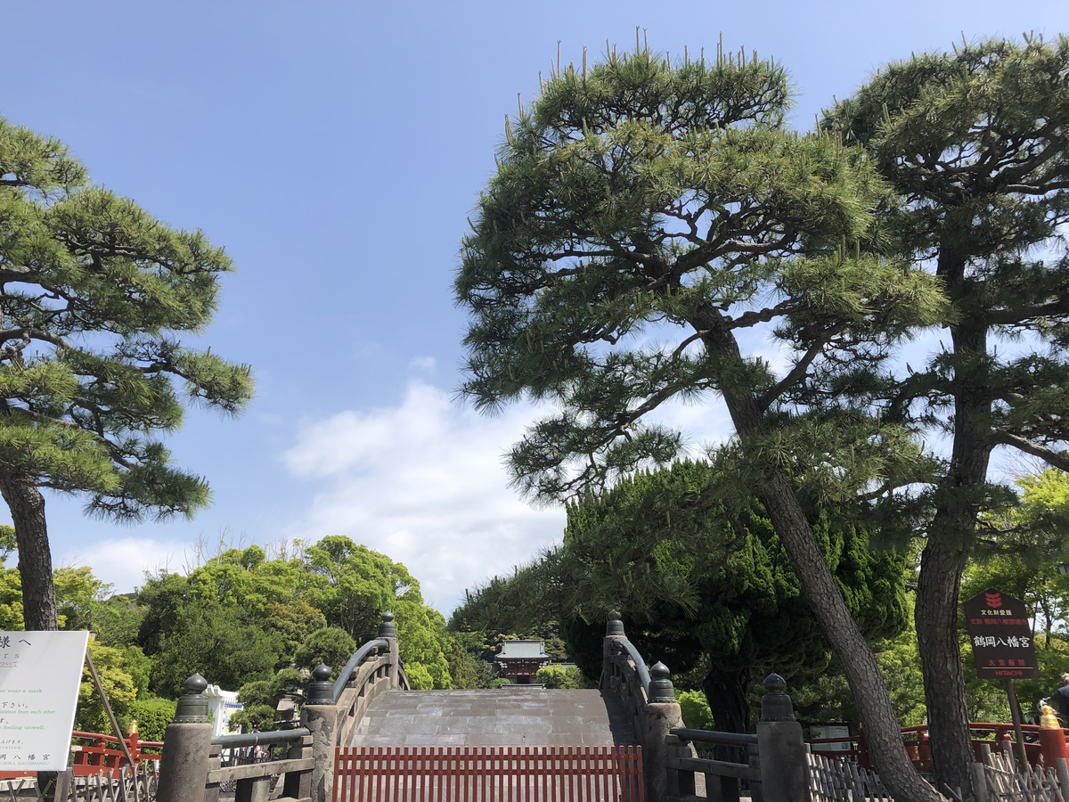 f:id:takeuma02:20210511075548j:plain