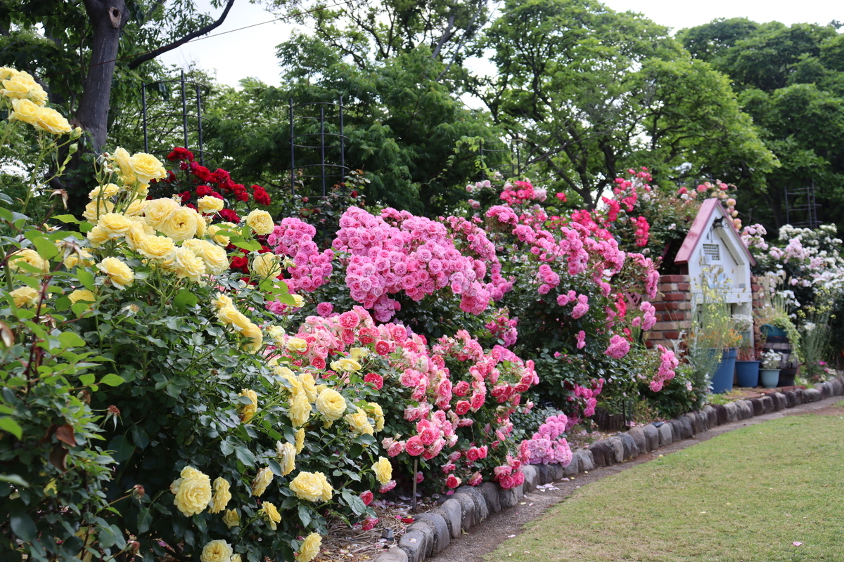 f:id:takeuma02:20210518142914j:plain
