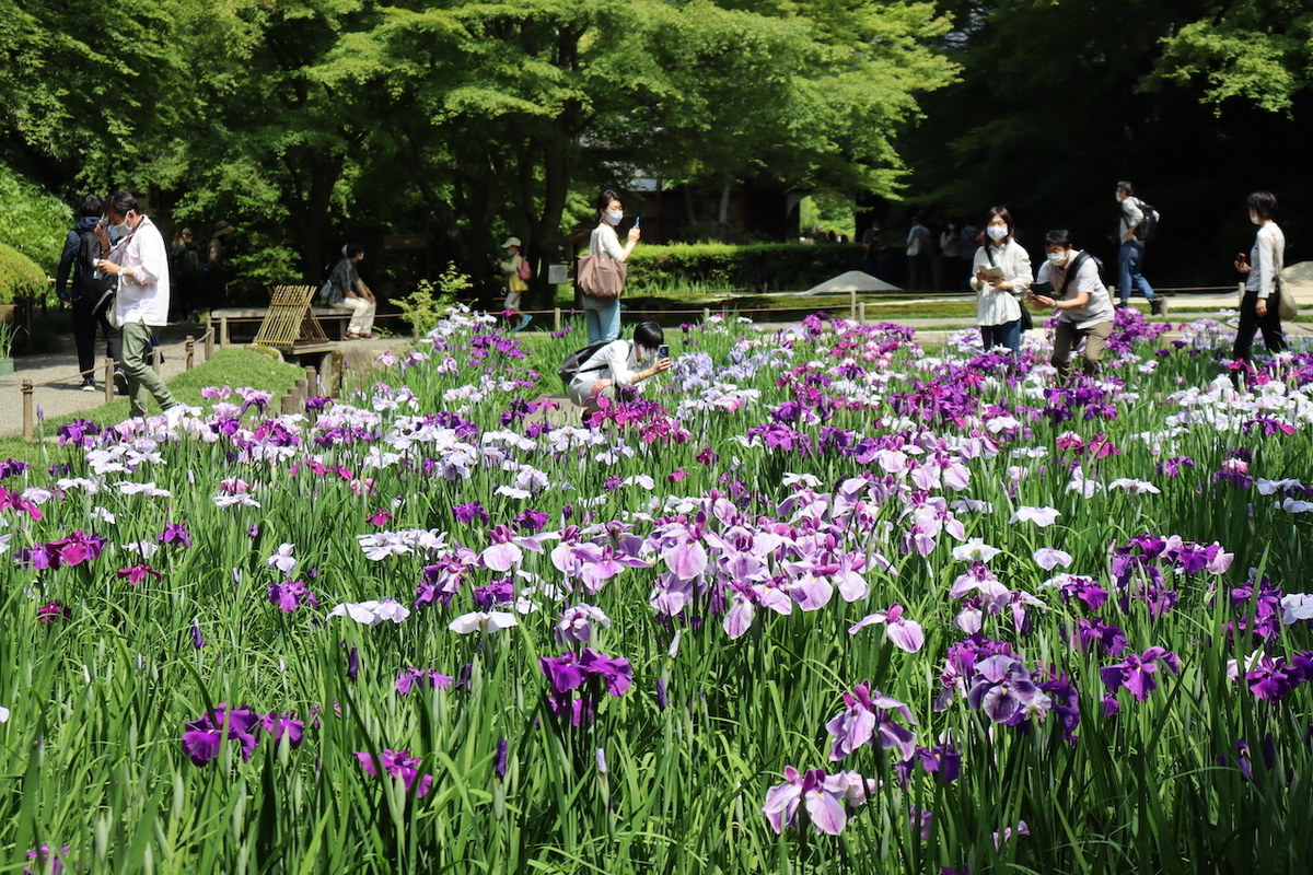 f:id:takeuma02:20210530154536j:plain