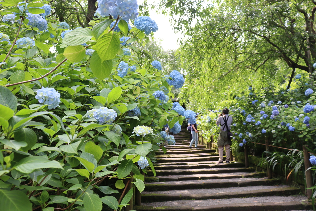 f:id:takeuma02:20210530155231j:plain