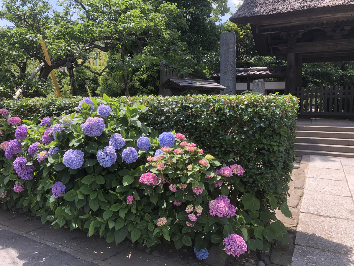 f:id:takeuma02:20210604100835j:plain