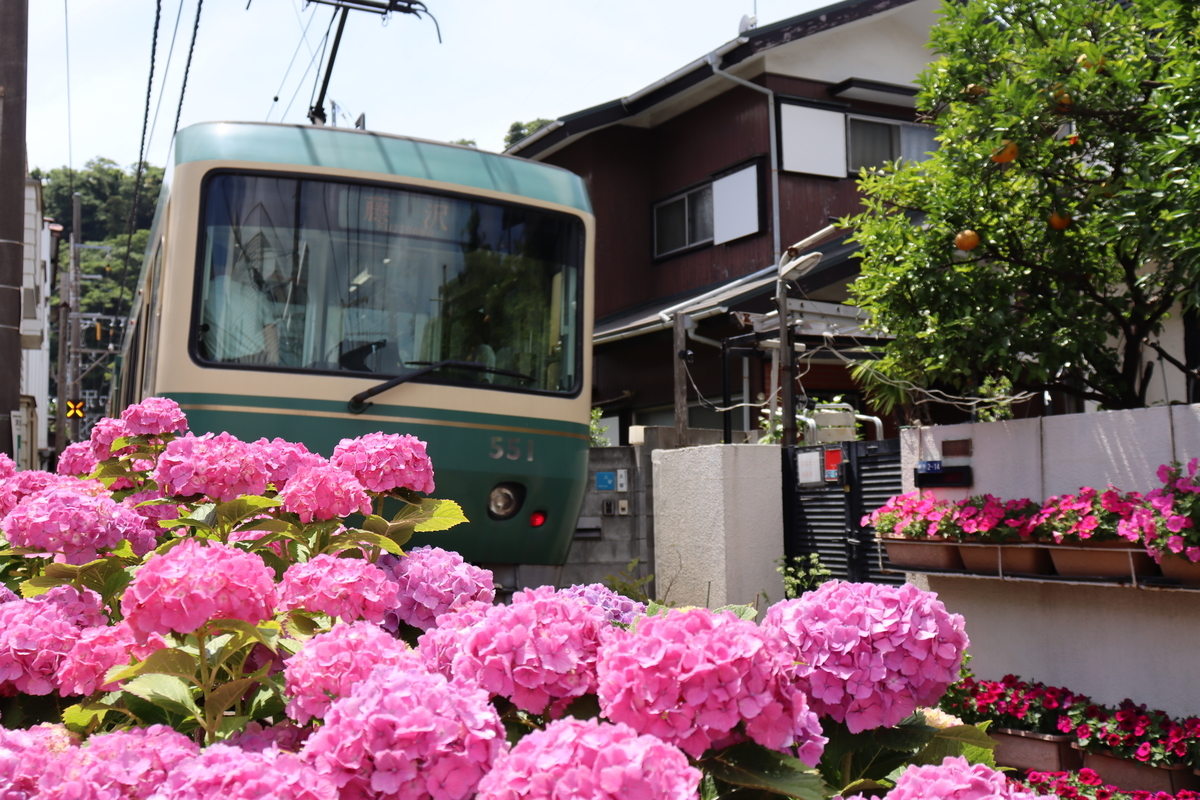 f:id:takeuma02:20210604101853j:plain
