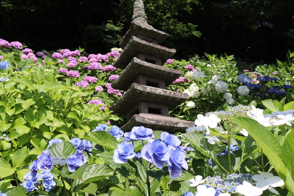 f:id:takeuma02:20210611142828j:plain