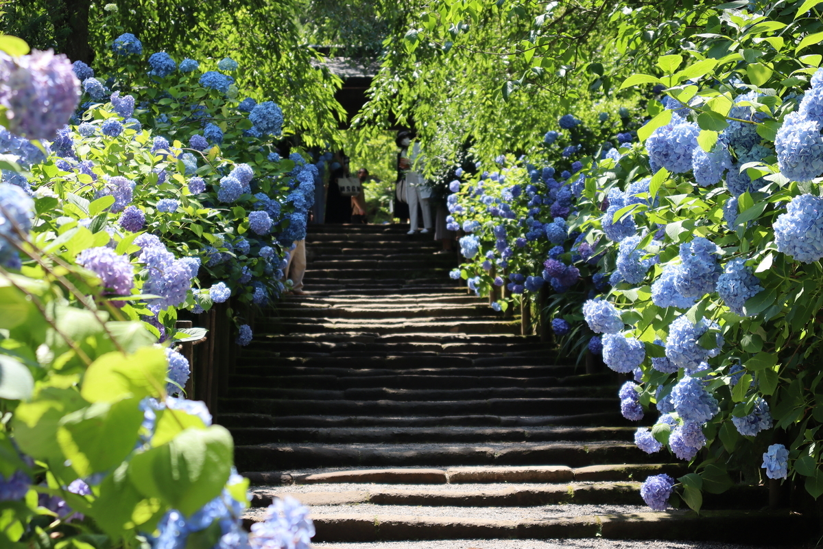 f:id:takeuma02:20210611143927j:plain