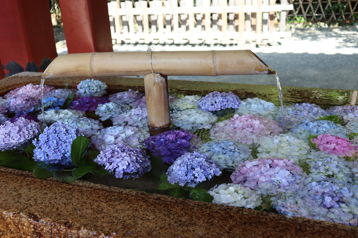 f:id:takeuma02:20210611144413j:plain