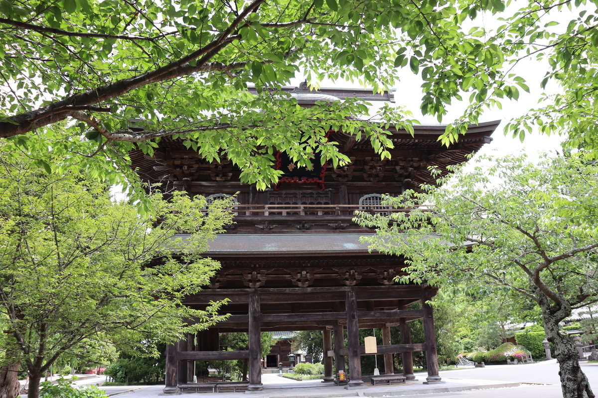 f:id:takeuma02:20210613163141j:plain