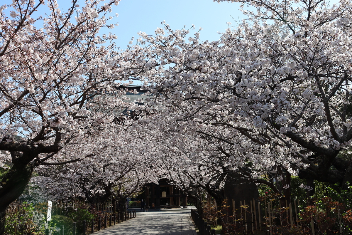f:id:takeuma02:20210613163740j:plain