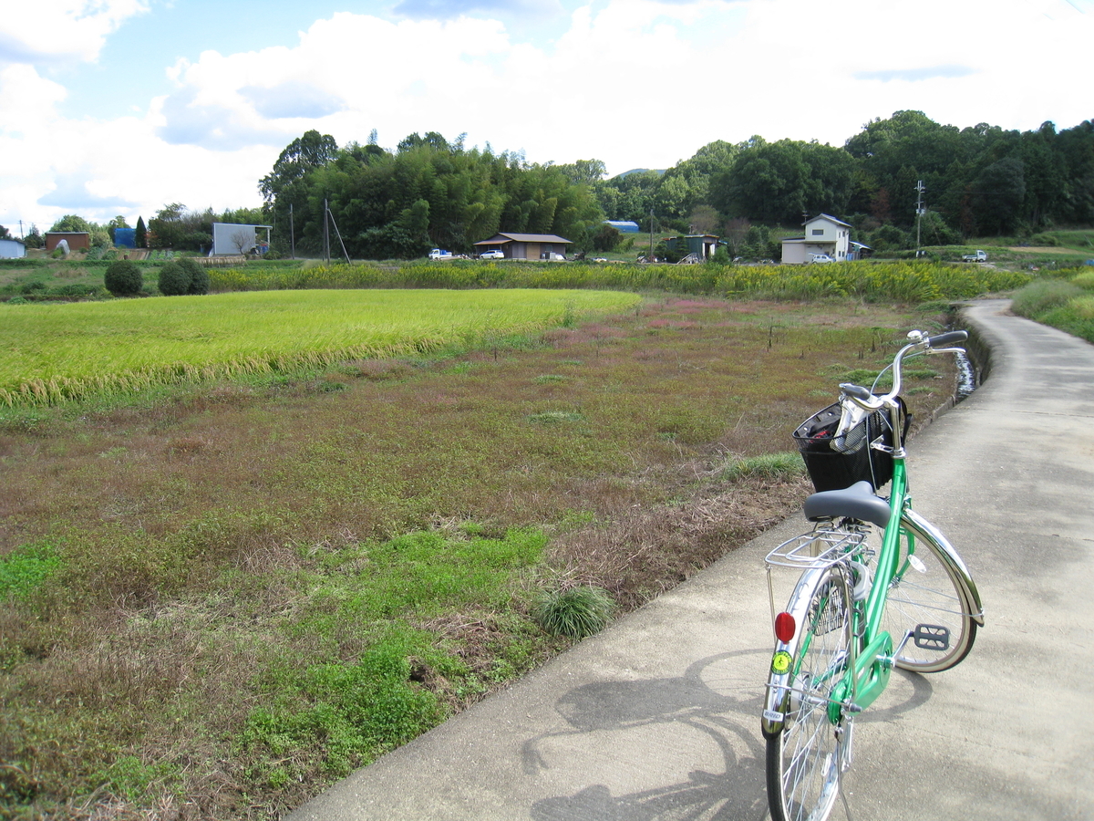 f:id:takeuma02:20210731074921j:plain