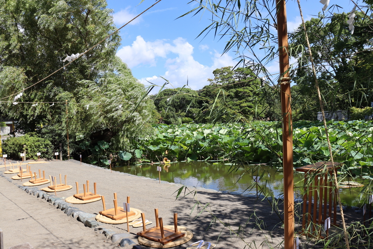 f:id:takeuma02:20210807073217j:plain