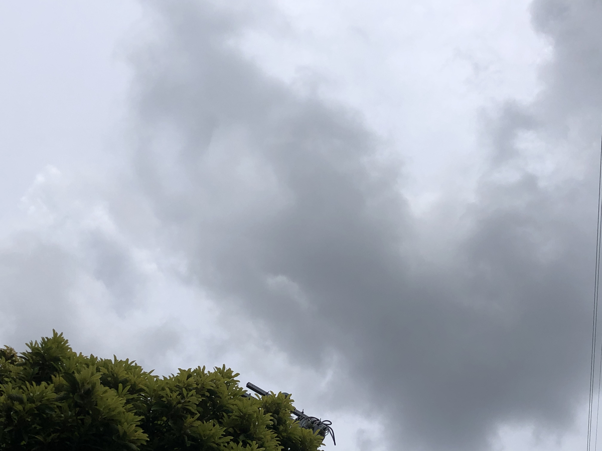 f:id:takeuma02:20210809135942j:plain