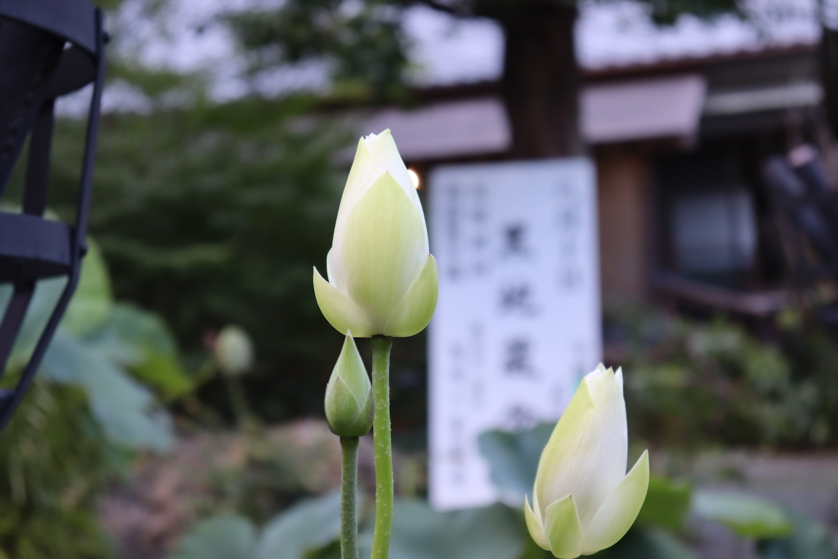 f:id:takeuma02:20210810113216j:plain