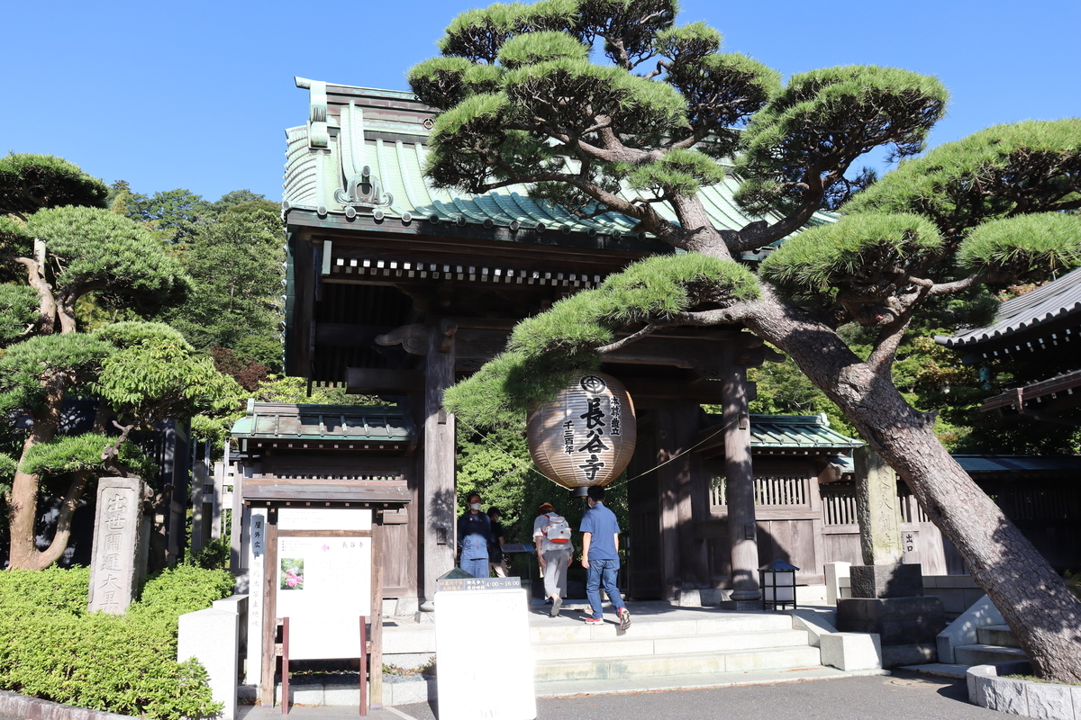 f:id:takeuma02:20210812192802j:plain