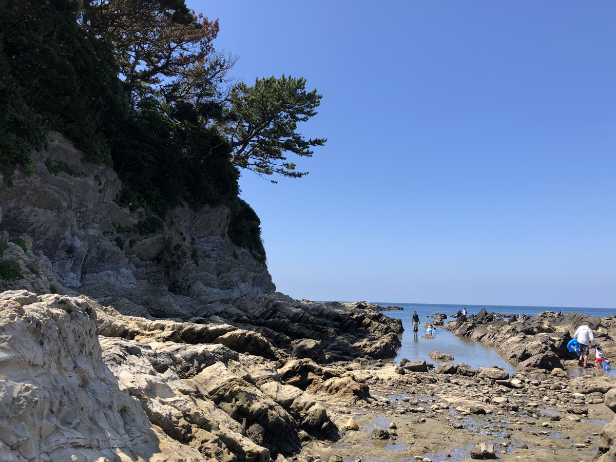 f:id:takeuma02:20210821095314j:plain