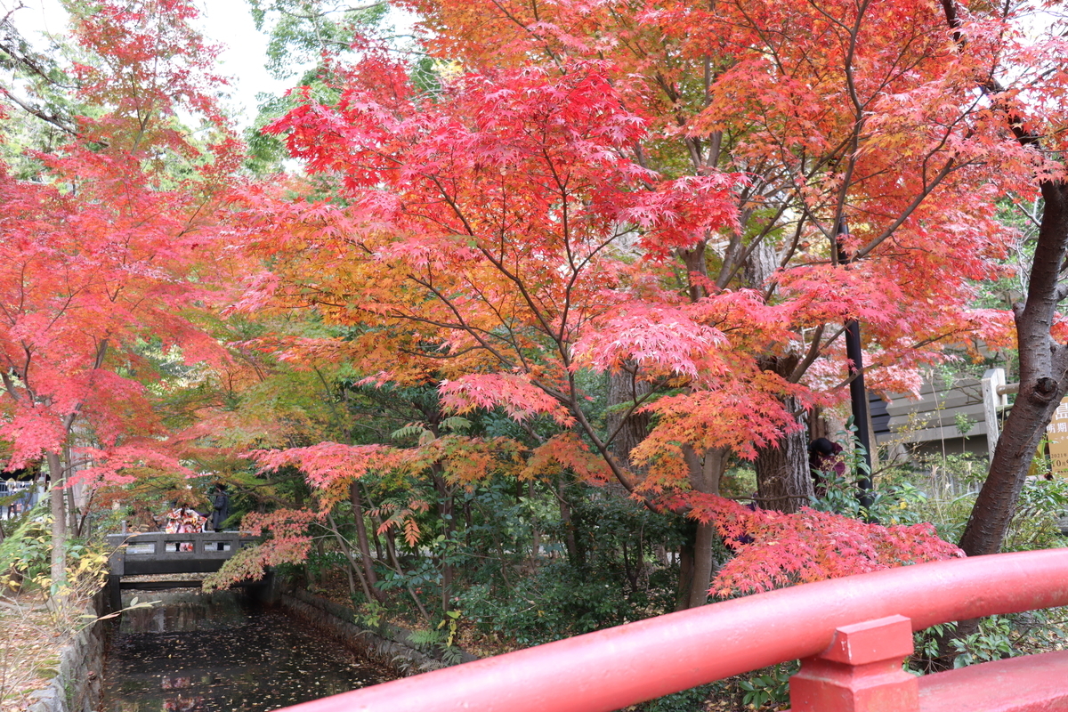 f:id:takeuma02:20211206090707j:plain