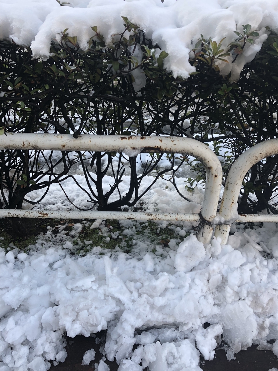 f:id:takeuma02:20220210085826j:plain