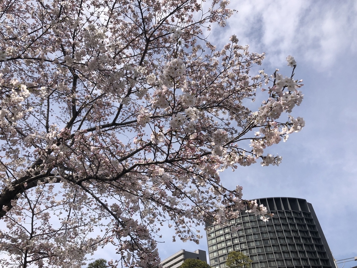 f:id:takeuma02:20220321195118j:plain