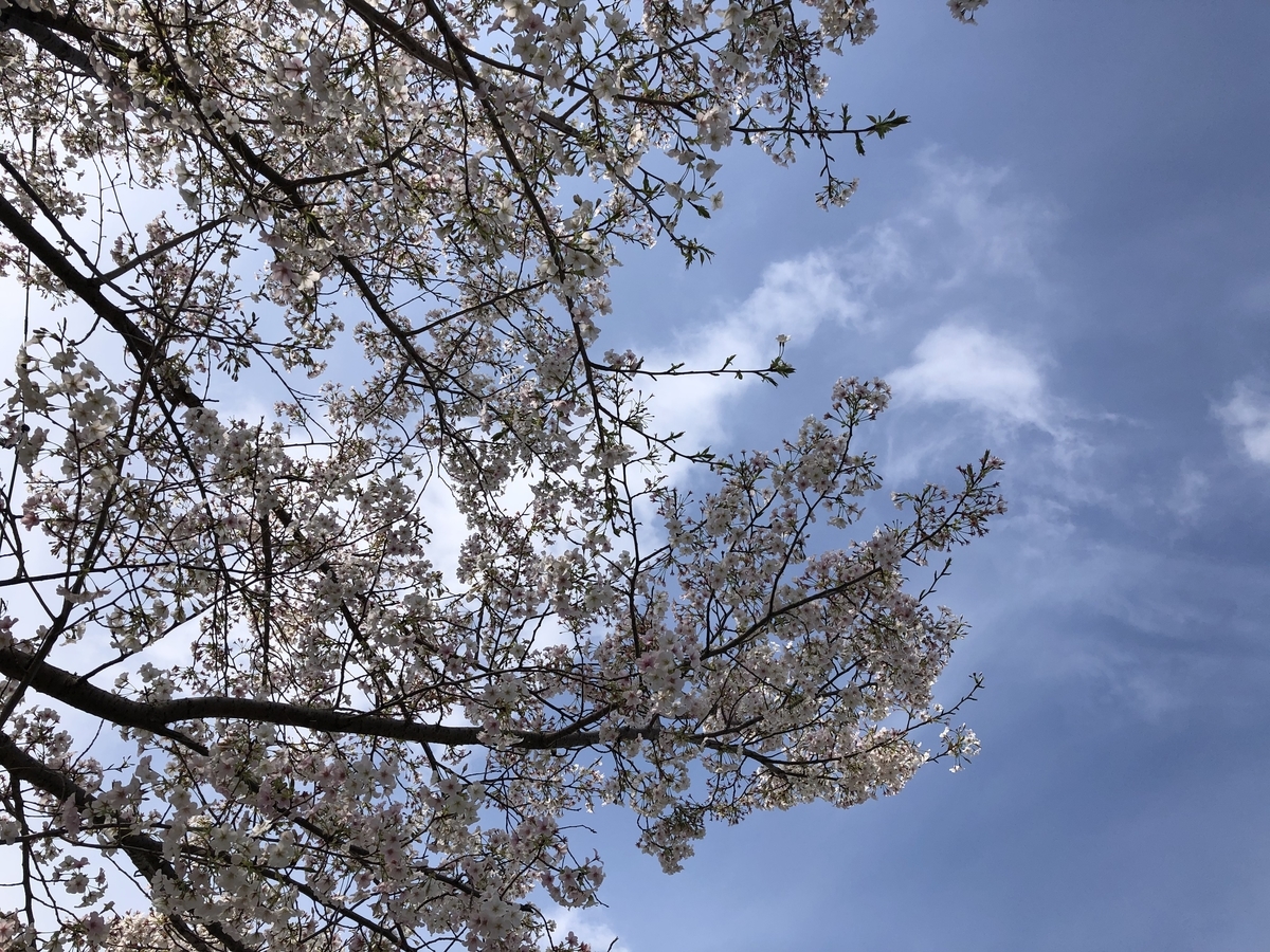 f:id:takeuma02:20220411110437j:plain